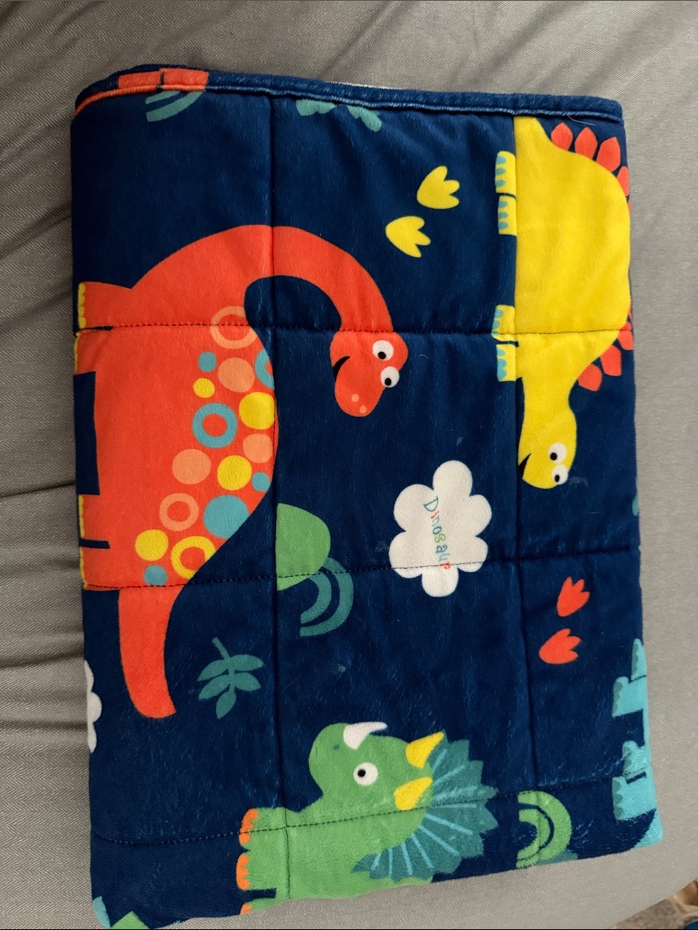 Kids All Natrual Cotton Weighted Blanket